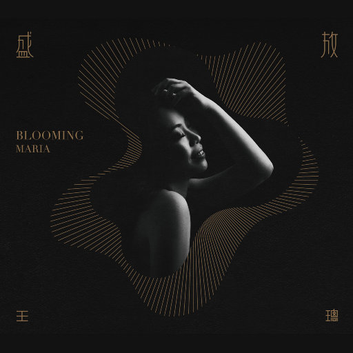 中国黄色大片免费
